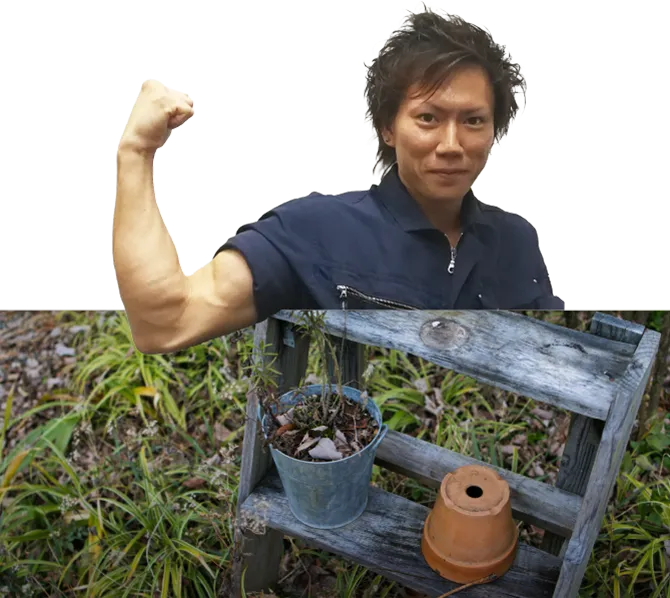 植木処分