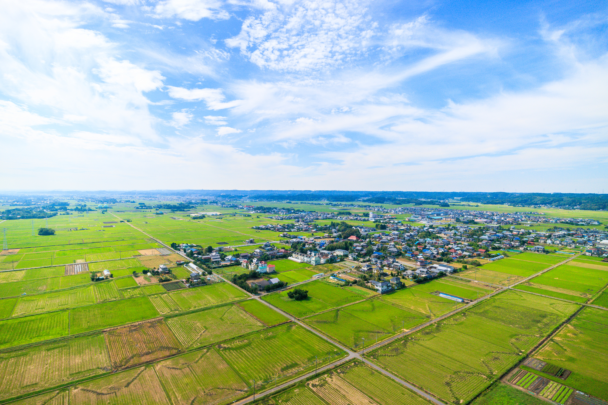 東金市で収集できないごみや処理困難物