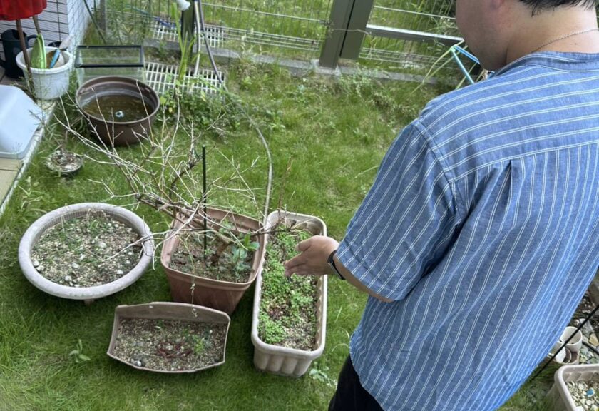 植木・プランターの即日回収処分のご依頼を千葉市美浜区でいただきました！
