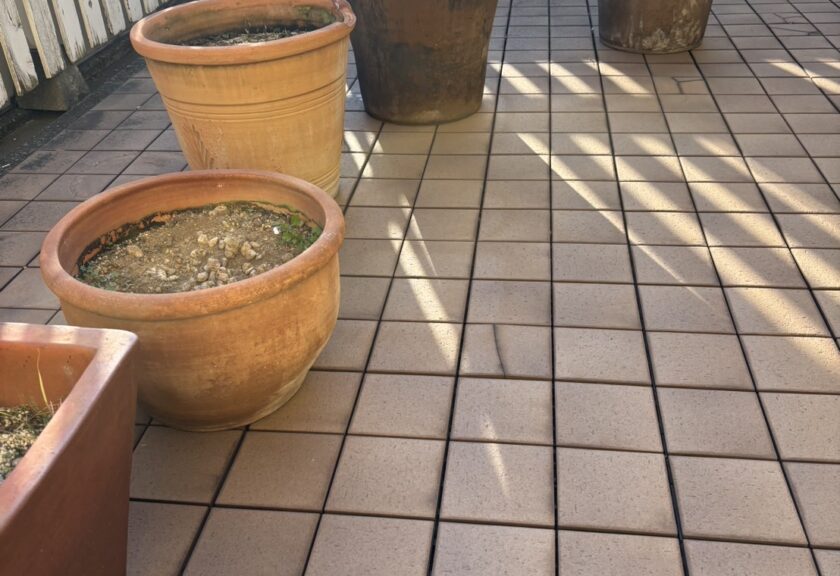 【助かりました。】千葉市美浜区にて大型植木の即日回収処分のご依頼！！