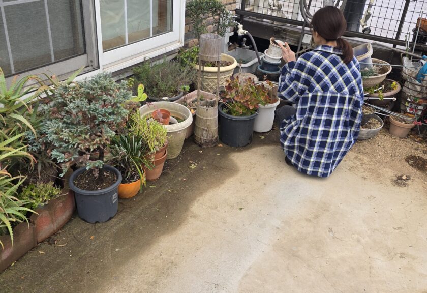千葉市花見川区で大型物置の解体処分＆大量の植木・プランターを即日回収！【庭の断捨離 Before→After 実録】