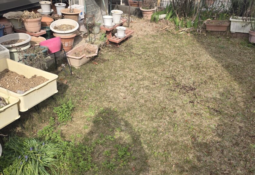 【流山市】戸建ての家まわり・裏庭の植木やプランター土も即日回収😍🌱大量のガーデニング用品・コンクリート・レンガ・廃材・一時多量ゴミをスッキリ撤去\(^o^)/