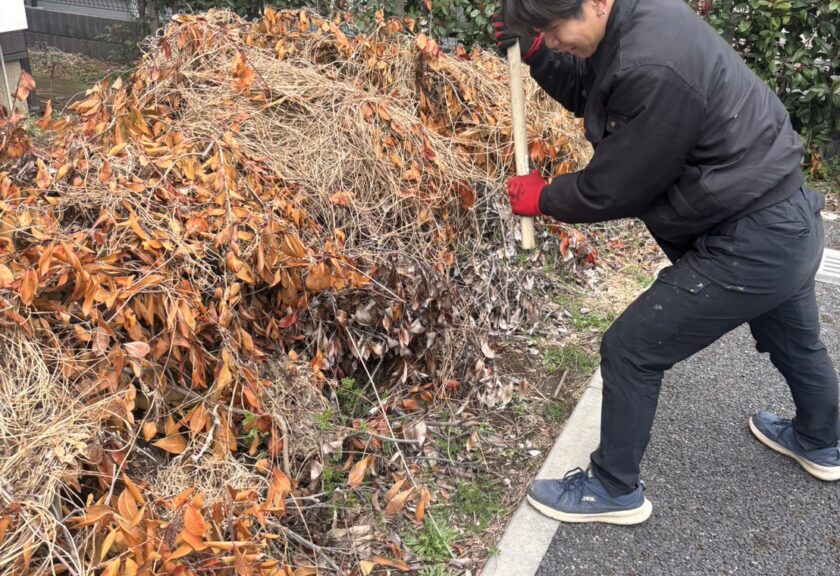 【ありがとうございました。】千葉市中央区の👨🏻‍🦳👩🏻‍🦳老人ホーム様より２件、生木、剪定枝の即日回収処分のご依頼！！！